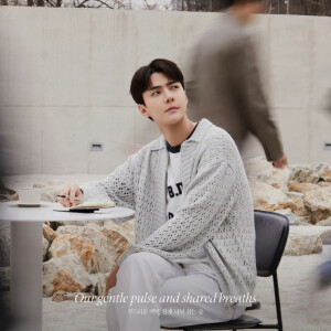 exo正规七辑官图