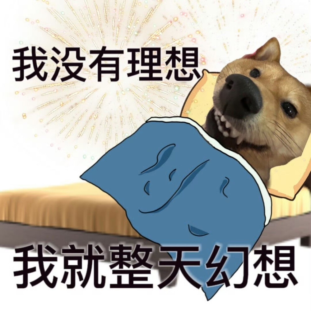 狗