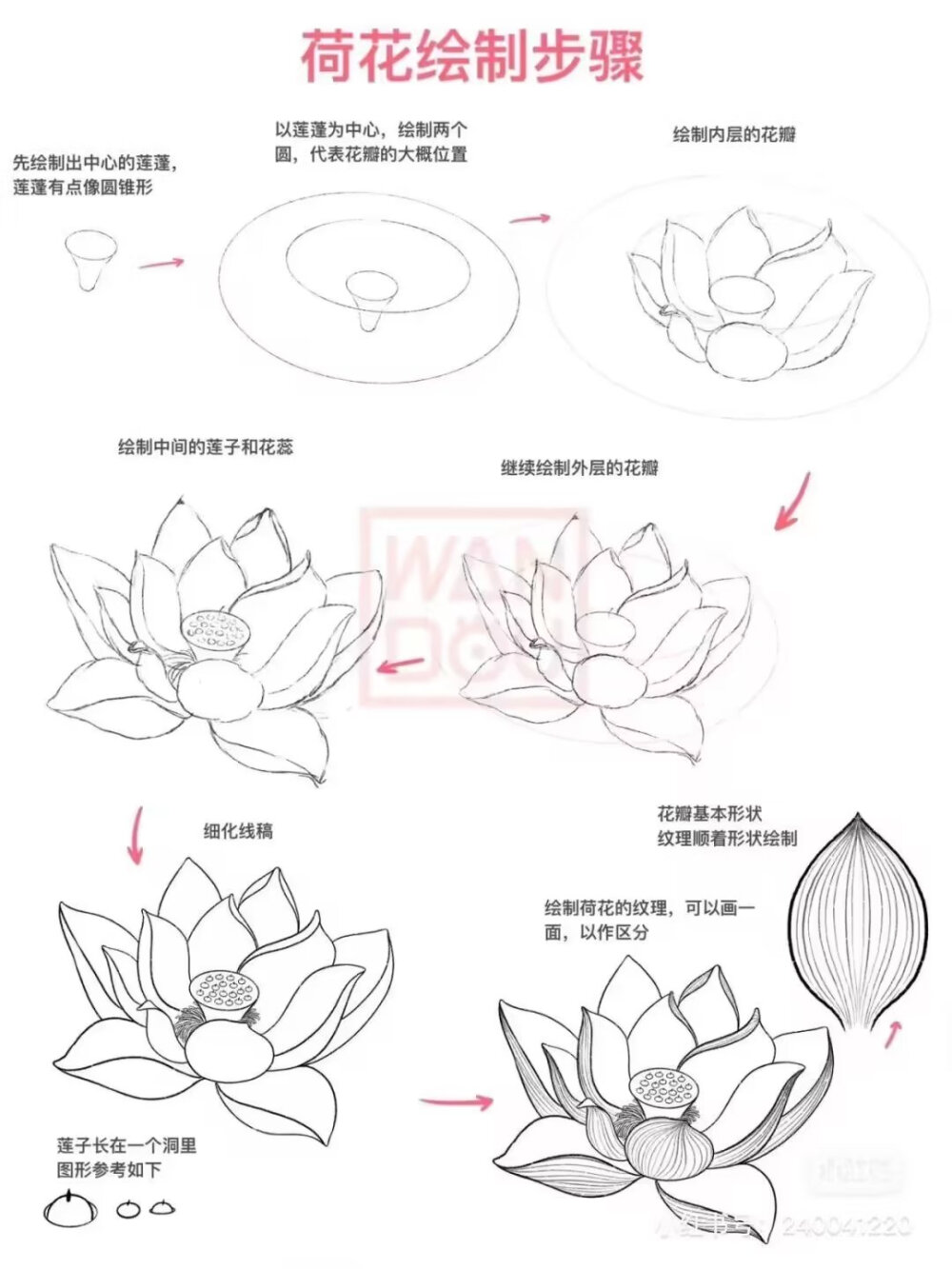 荷叶绘画教程