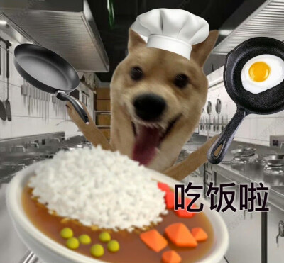 狗