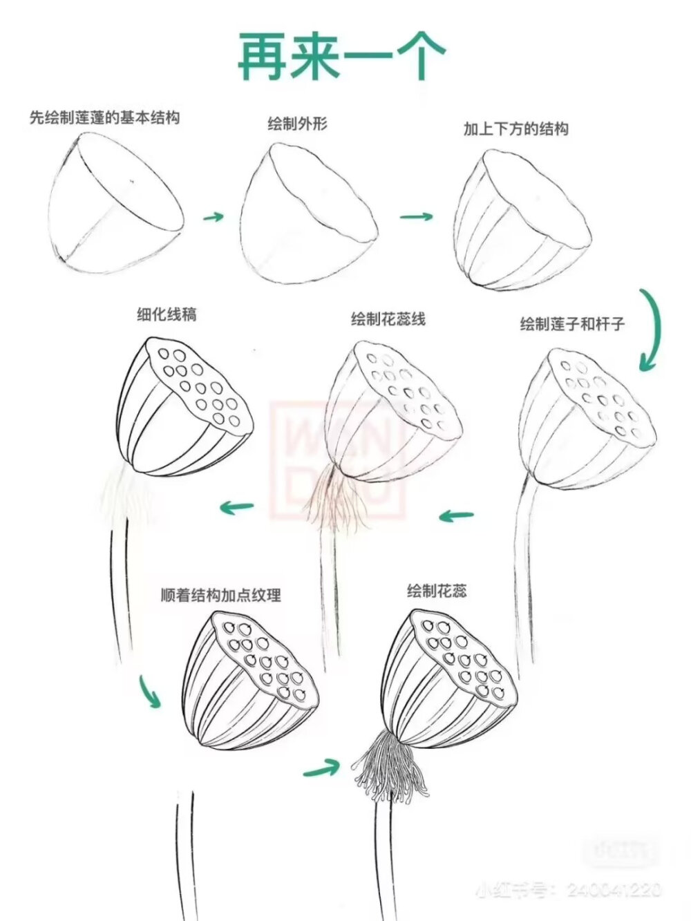 荷叶绘画教程