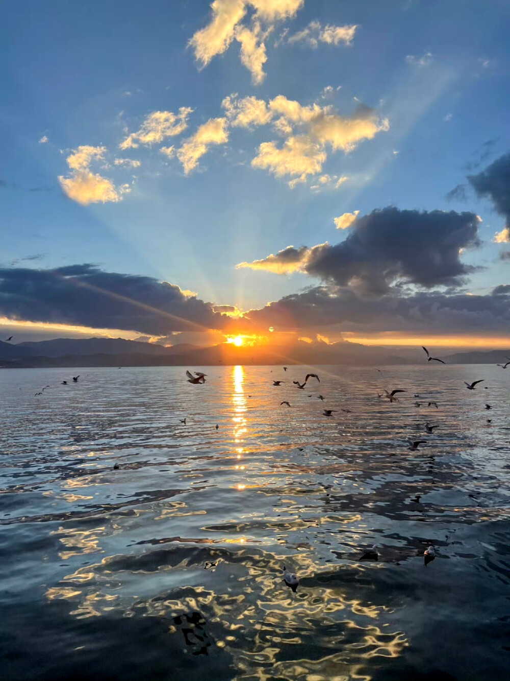 落日 海边 背景图