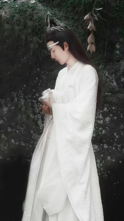 蓝湛