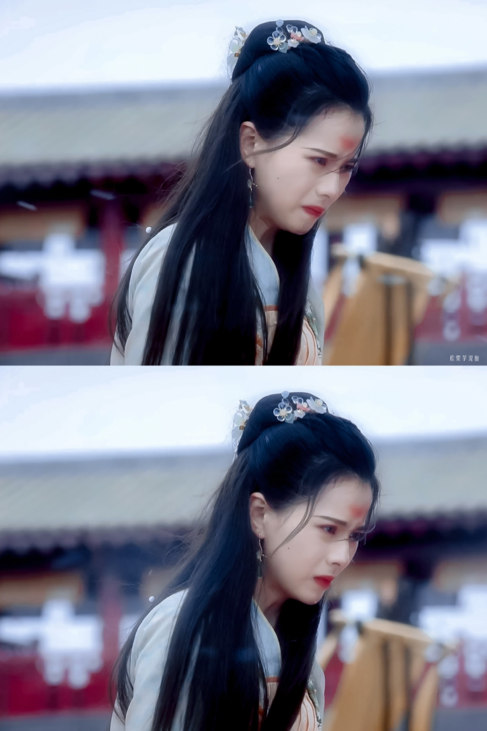 黄日莹 | 林真儿
cr:松栗芋泥酿