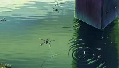 新海诚║言叶之庭动漫壁纸