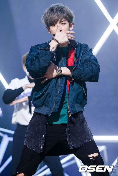 exo 朴灿烈