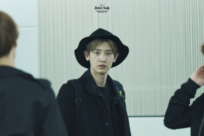 exo 朴灿烈
