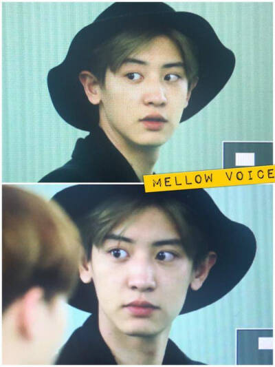 exo 朴灿烈