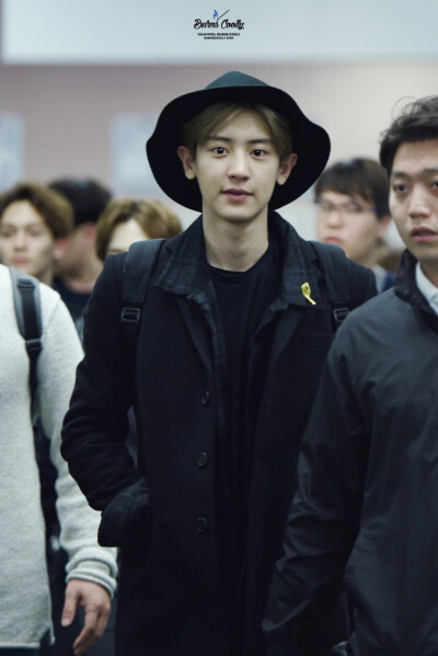 exo 朴灿烈
