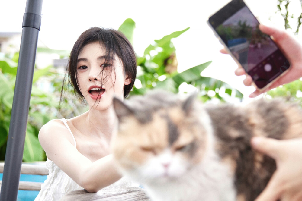 鞠婧祎
京城名怜
图源wb.