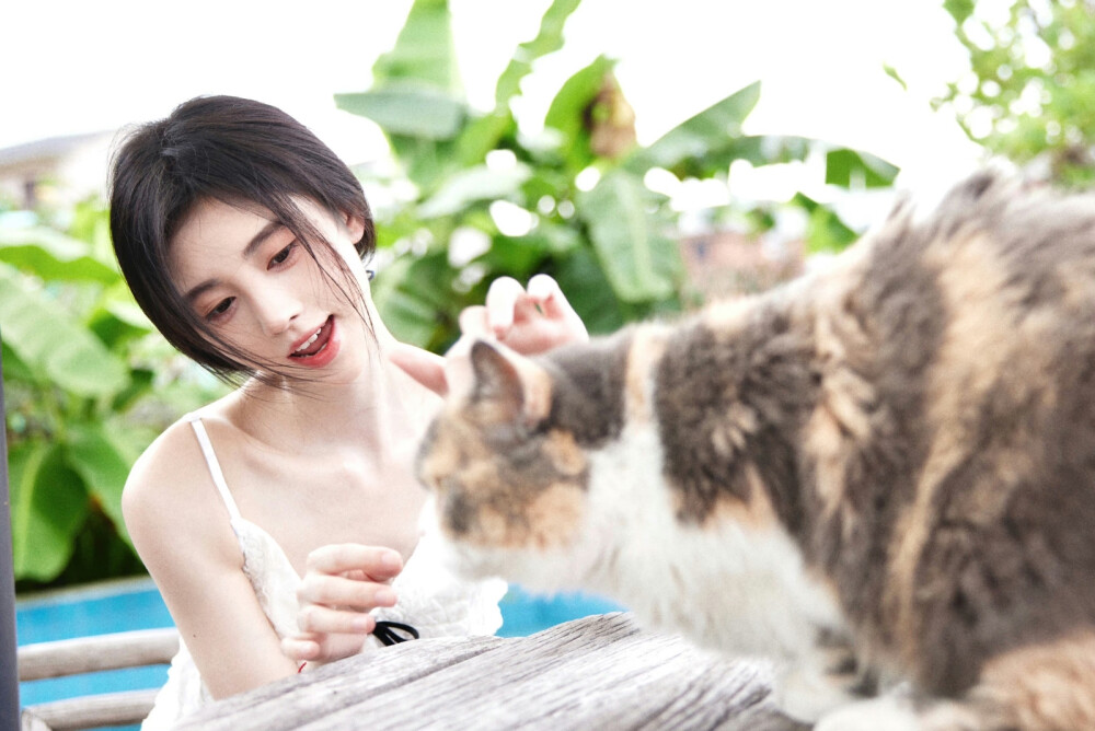 鞠婧祎
京城名怜
图源wb.