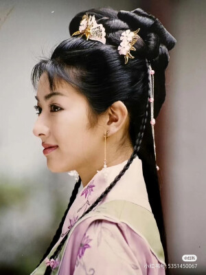 一片冰心在玉壶