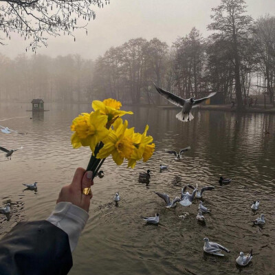 背景
拿图点赞收藏