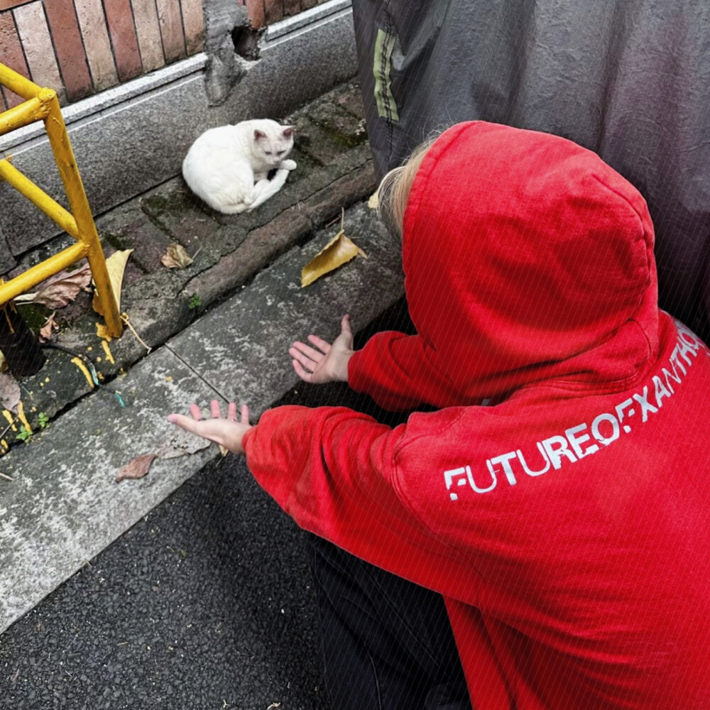 帅气男孩