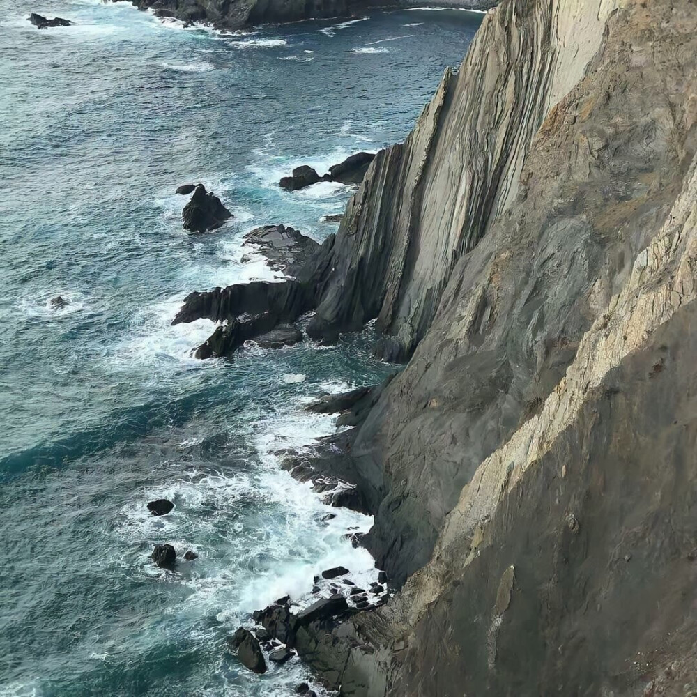 背景
拿图点赞收藏