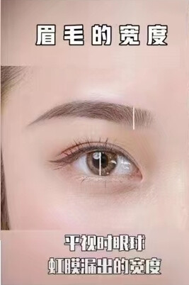 在需要放大眼睛的时候，专业化妆师都是先化眼妆、再化眉毛的。
这么说是因为，如果是不化眼线的淡妆，我们也可以先化眉毛，顺序不是绝对的。
但如果是一个精致的大眼妆，那一定是要根据完成后的眼妆，来确定眉毛的长度和眉形的！
眉毛和眼睛的比例关系如下！干货，仔细看！