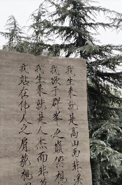 东方美学丨文字