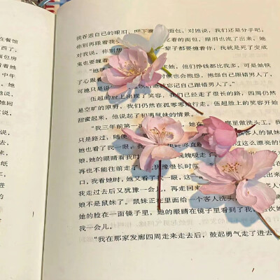 花的浪漫是它本身