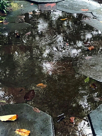 ゛晴不知夏去 一雨方知深秋
