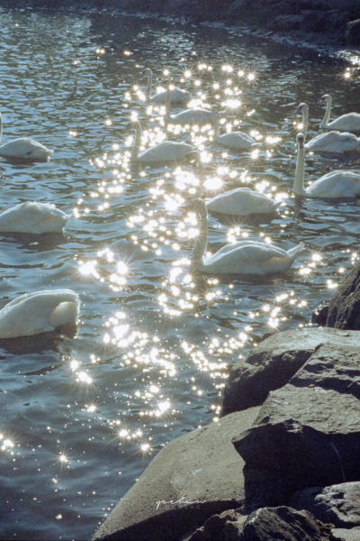 山河湖海