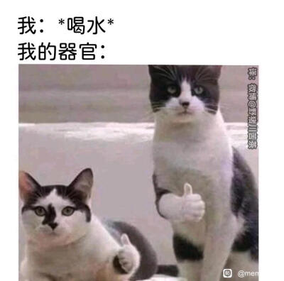 记得喝水