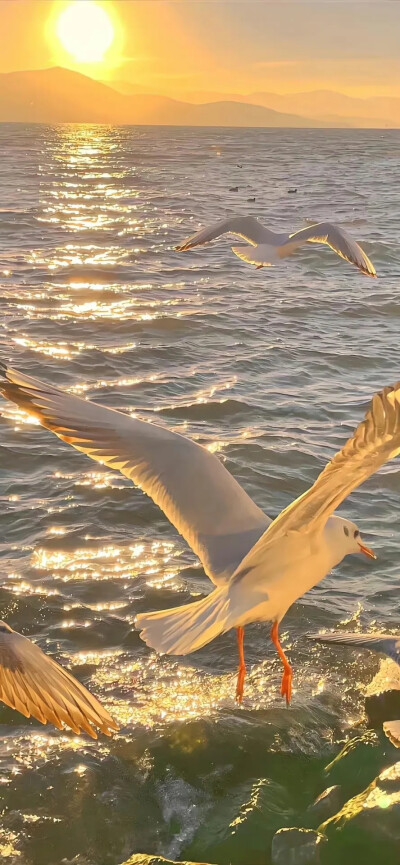 浪漫高级壁纸头像