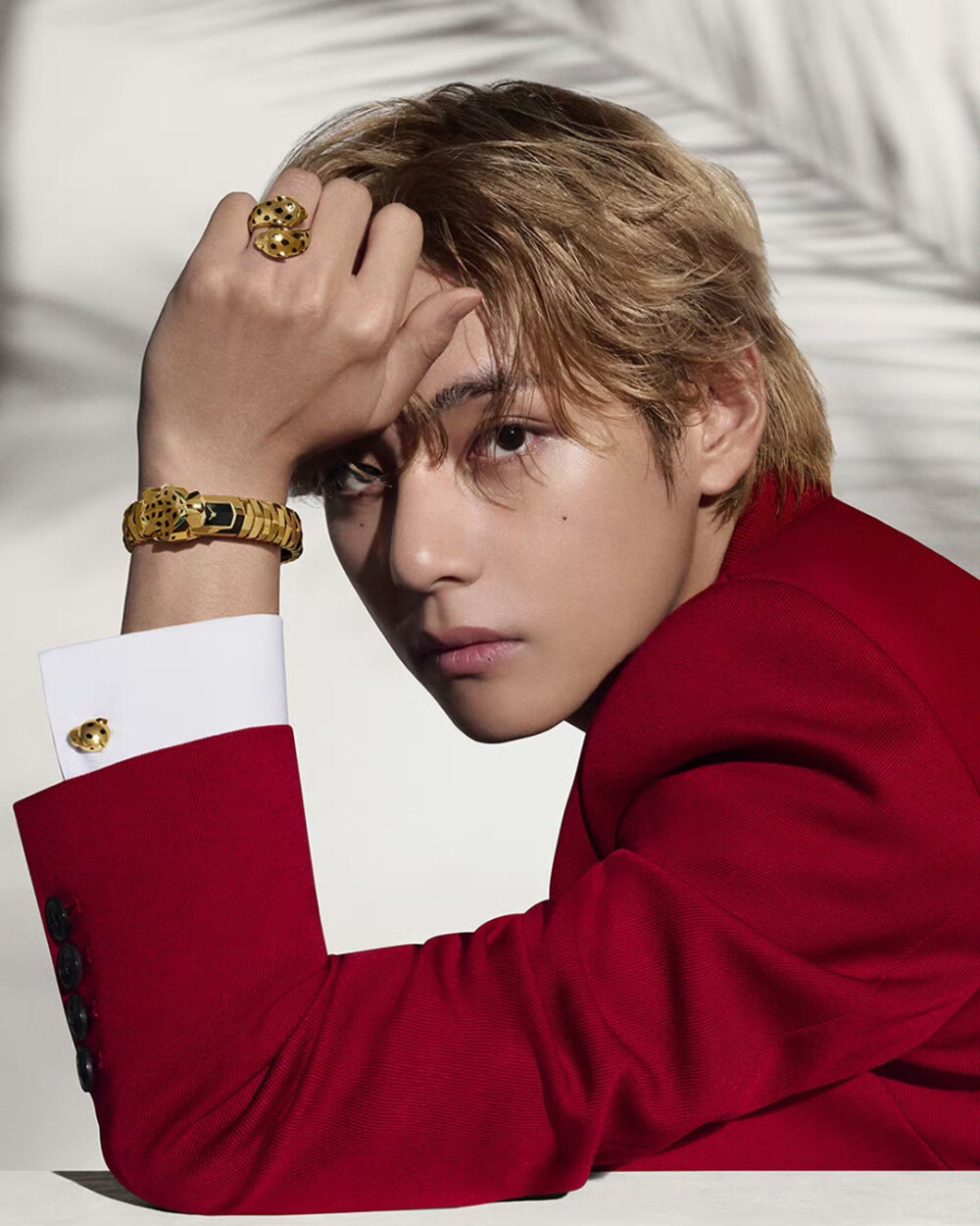 金泰亨 230922 Cartier - 高清图片，堆糖，美图壁纸兴趣社区