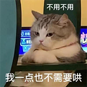 沙雕表情包