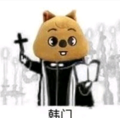 韩知城