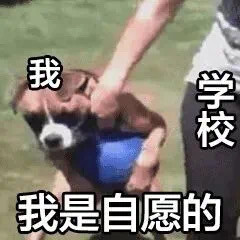 图源各处