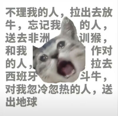 表情包