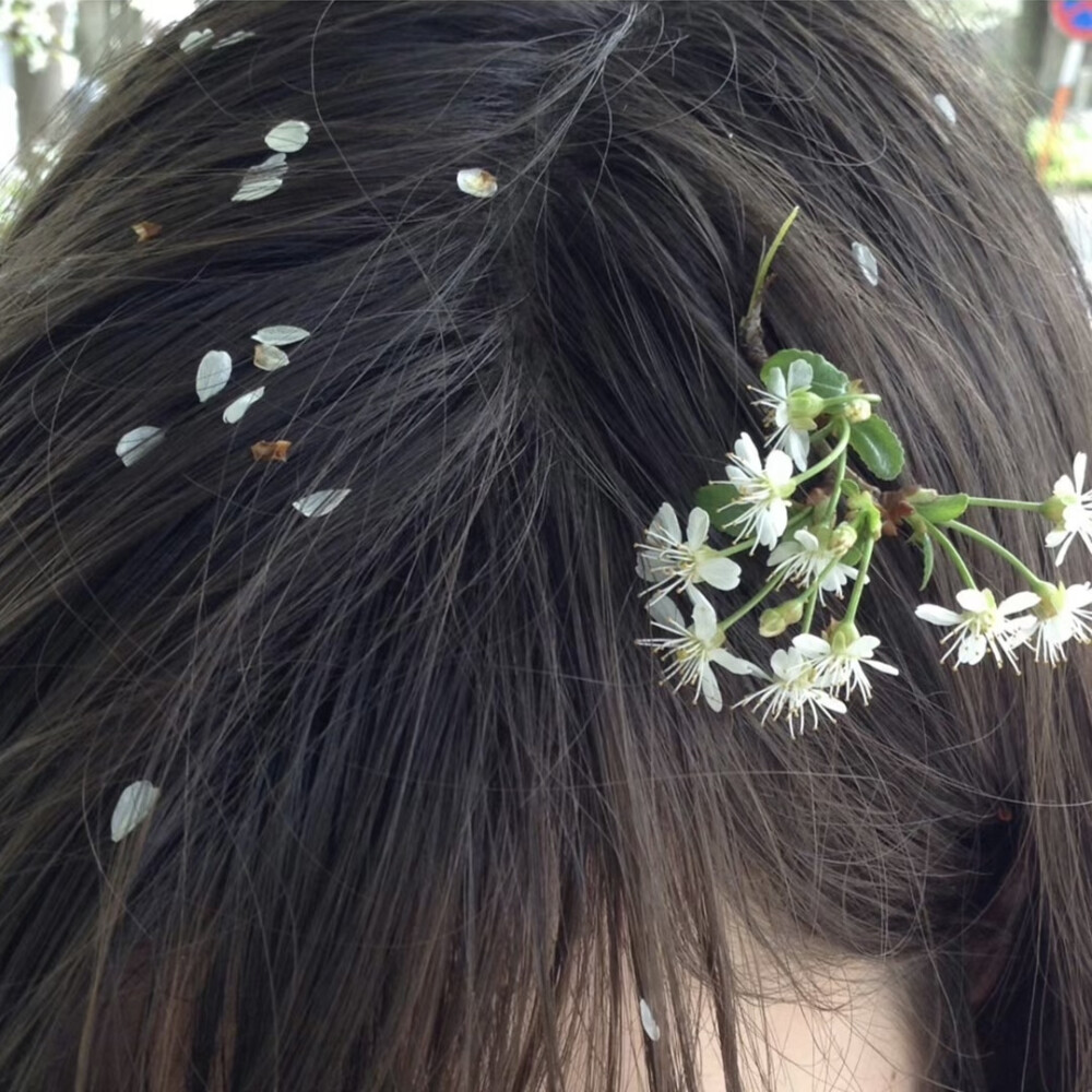 你的心里也是大雪天吗