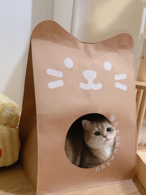 幼儿园等人来接的小朋友