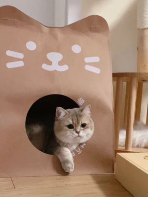 幼儿园等人来接的小朋友