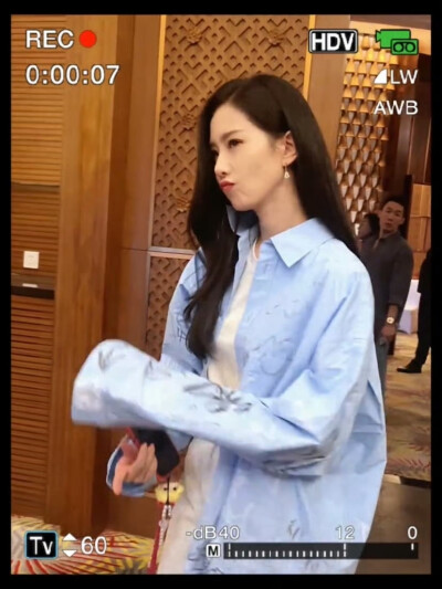 刘诗诗