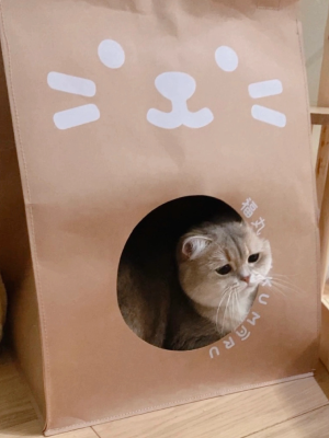 幼儿园等人来接的小朋友