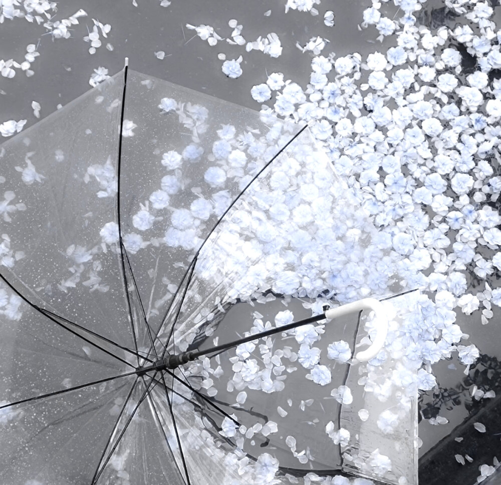 
" Pas besoi...–2007sの无声证词