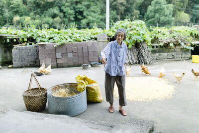 上托班了咱得回家跟阿太汇报一下不是
摄影：洪小漩
出镜：家人
托班了，以后回家住个一礼拜半个月的机会就不多了。
上完首个半日的体验课，我们忙不迭地收拾东西，往上虞赶。
我希望菲比能自己向阿太们汇报她入学的…