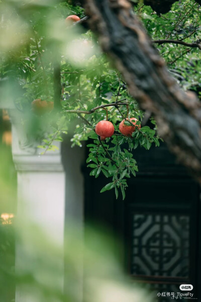 吃亏就是便宜。
你学会吃亏，谁都喜欢你；
你不肯吃亏，谁都讨厌你。