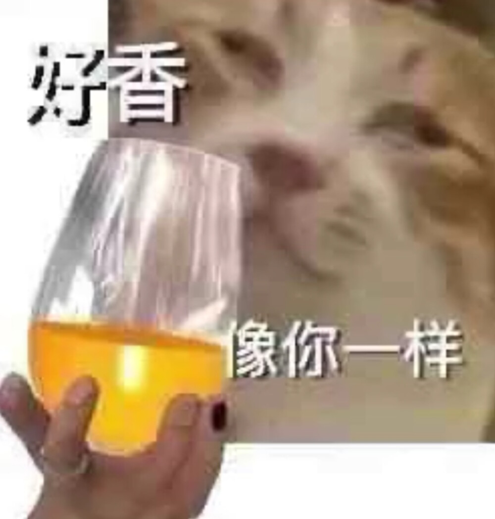 你也很为我着迷对吧/表情包