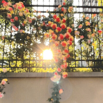 ：想见你在晴天在雨天在每一秒之间。