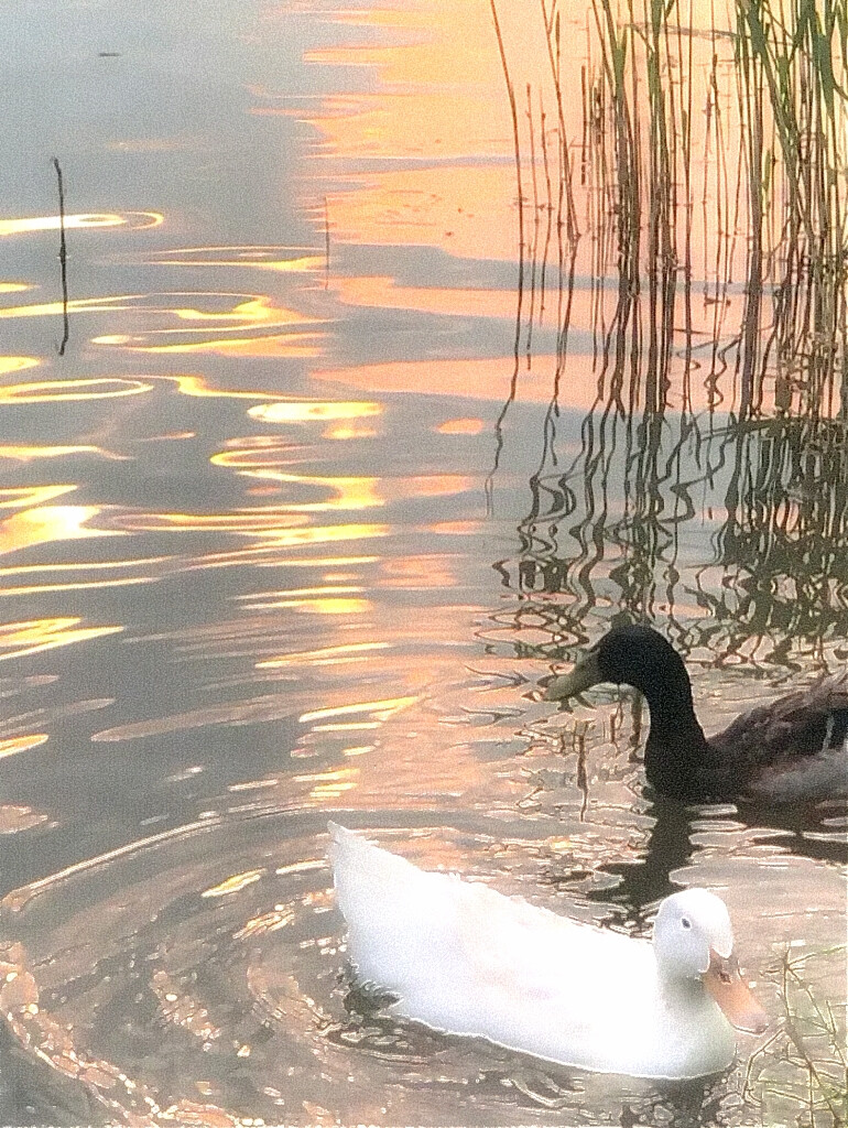 ：想见你在晴天在雨天在每一秒之间。