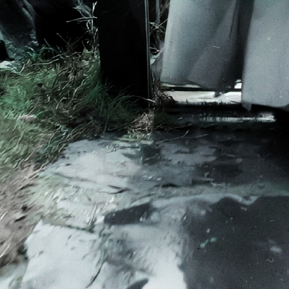 缘深缘浅，庄周梦蝶，黄粱一梦。