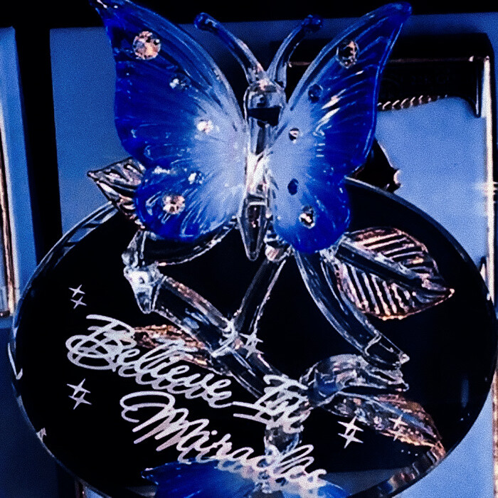 我不曾渴望的蓝色大海…
To my Dear Irene