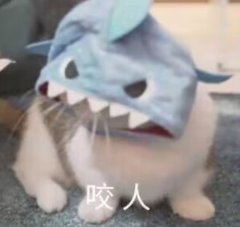 猫猫 表情包#冷瞳