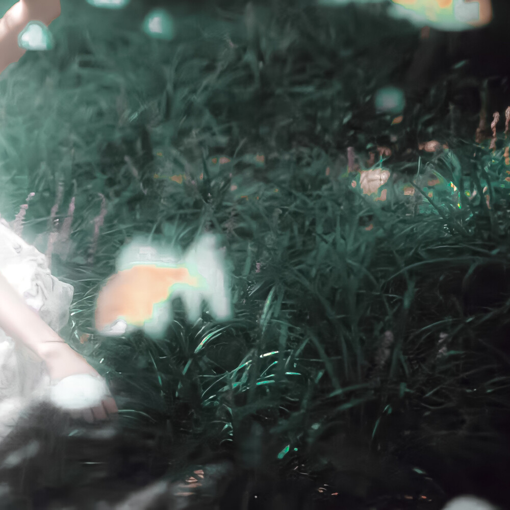 恋人がいないのに対孤児になる；《孤雏》おがSolitary chick