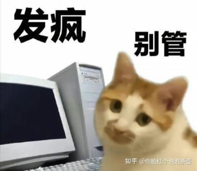 猫猫吊图