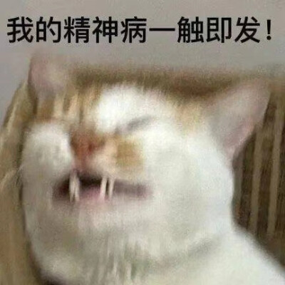 表情包