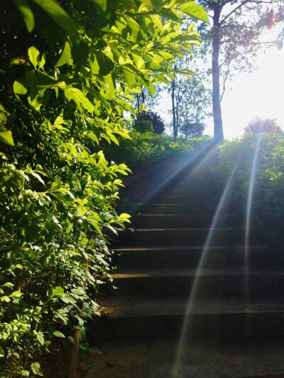 一叶落，天下秋，所有美好将随秋而至！ ​