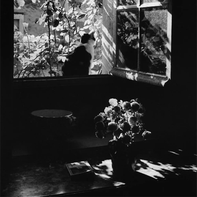 不灭的火苗 再次燃为无限的恶